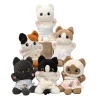 Cute Cat Doll Bean Bag Plush Toy Polyester Unisex Children's Comforting Doll 14 Years & up New Year Gift Wholesale